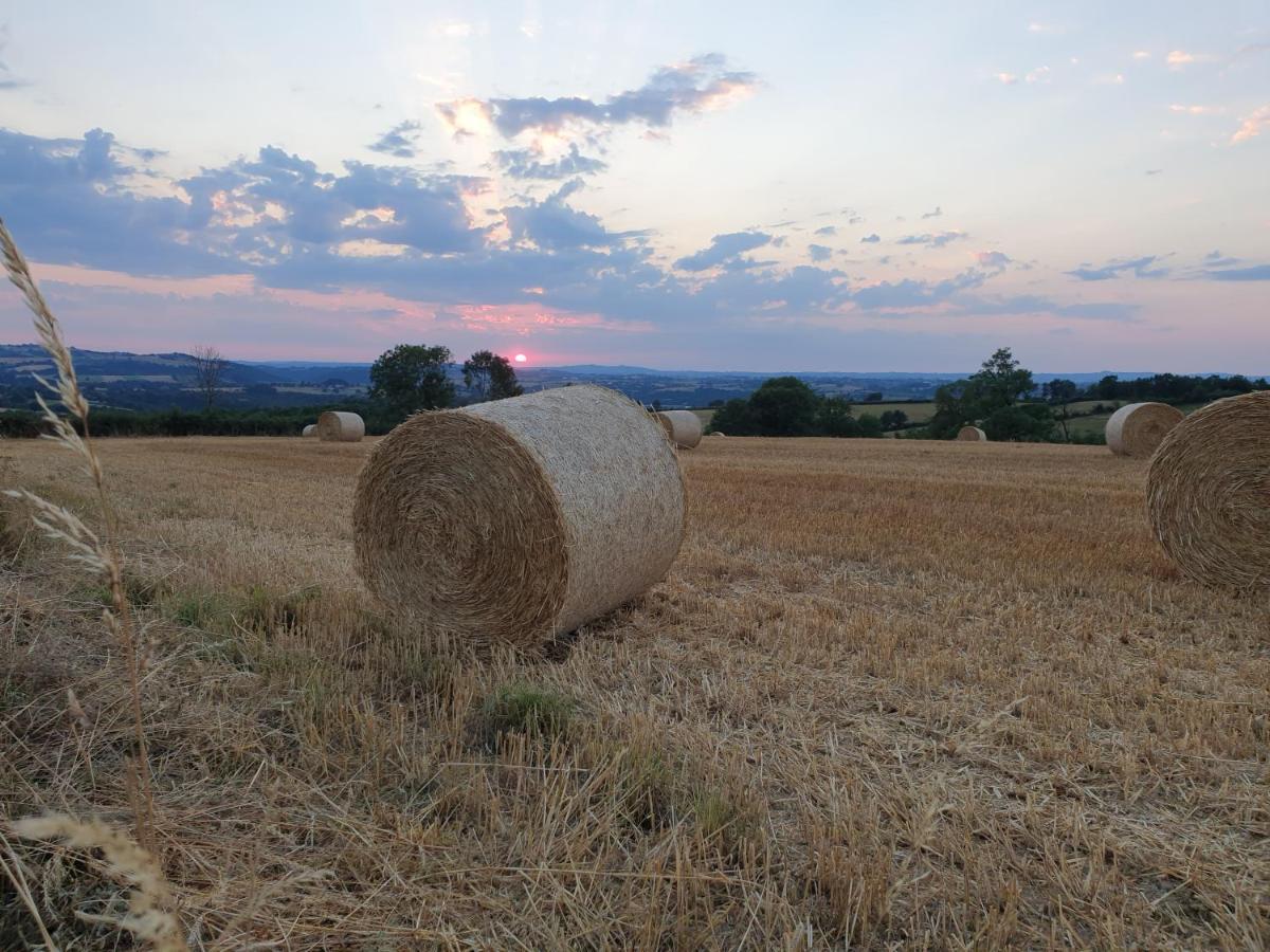 Rouet-Nature.Fr - Chambre D'Hotes Champetre Bed & Breakfast Treban  Exterior photo